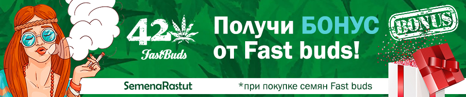 Бонусы от Fast Buds
